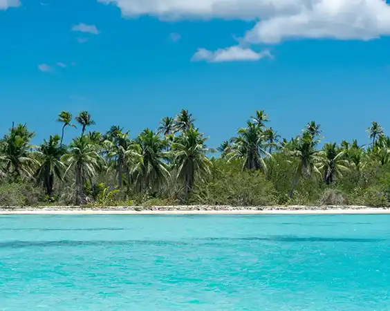 living in punta cana