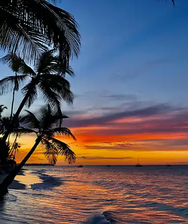 punta cana night beach2