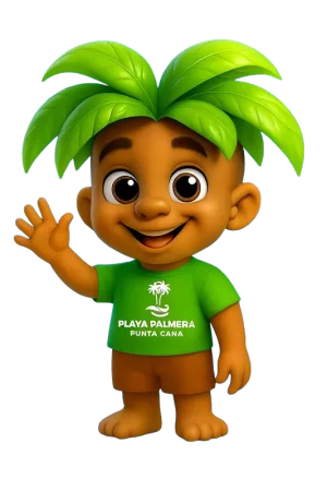 palmito on caribbean tropical beach