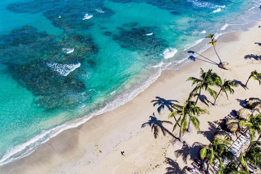 Private beach, palm trees and ocean at Playa Palmera